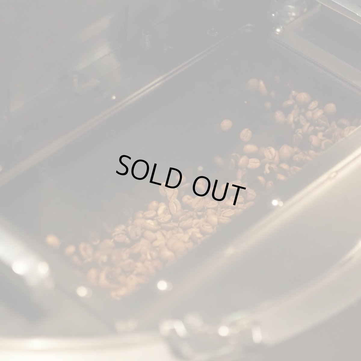 画像7: 【期間限定】エクアドル　アンデスマウンテン (7)