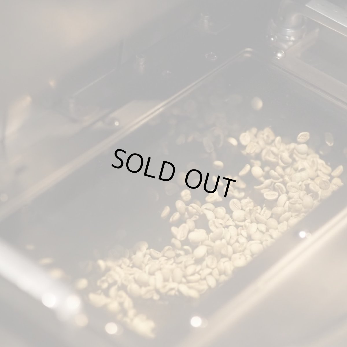 画像6: 【期間限定】エクアドル　アンデスマウンテン (6)