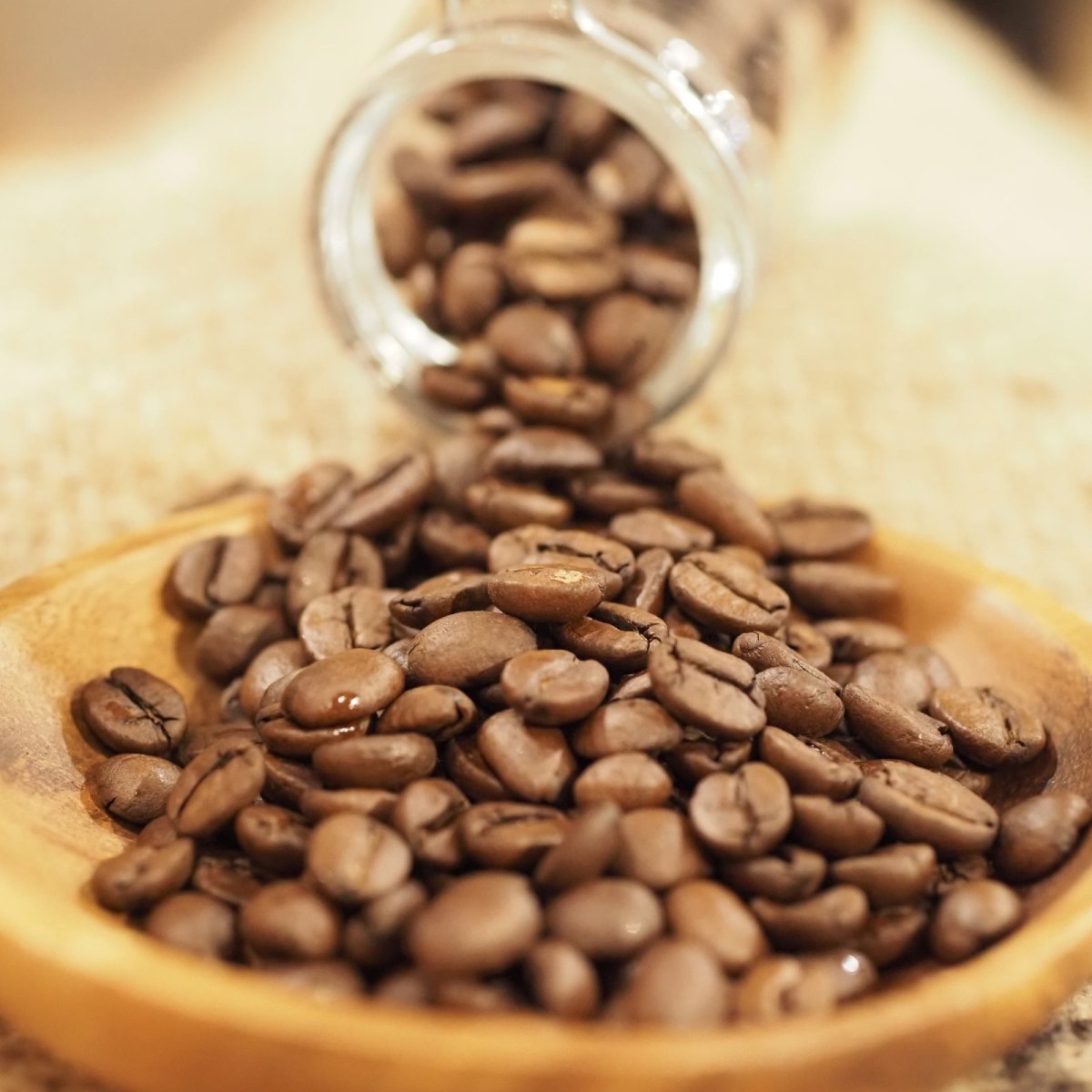 画像2: ブラジル　ジアマンチーナ　ヨシマツ (2)