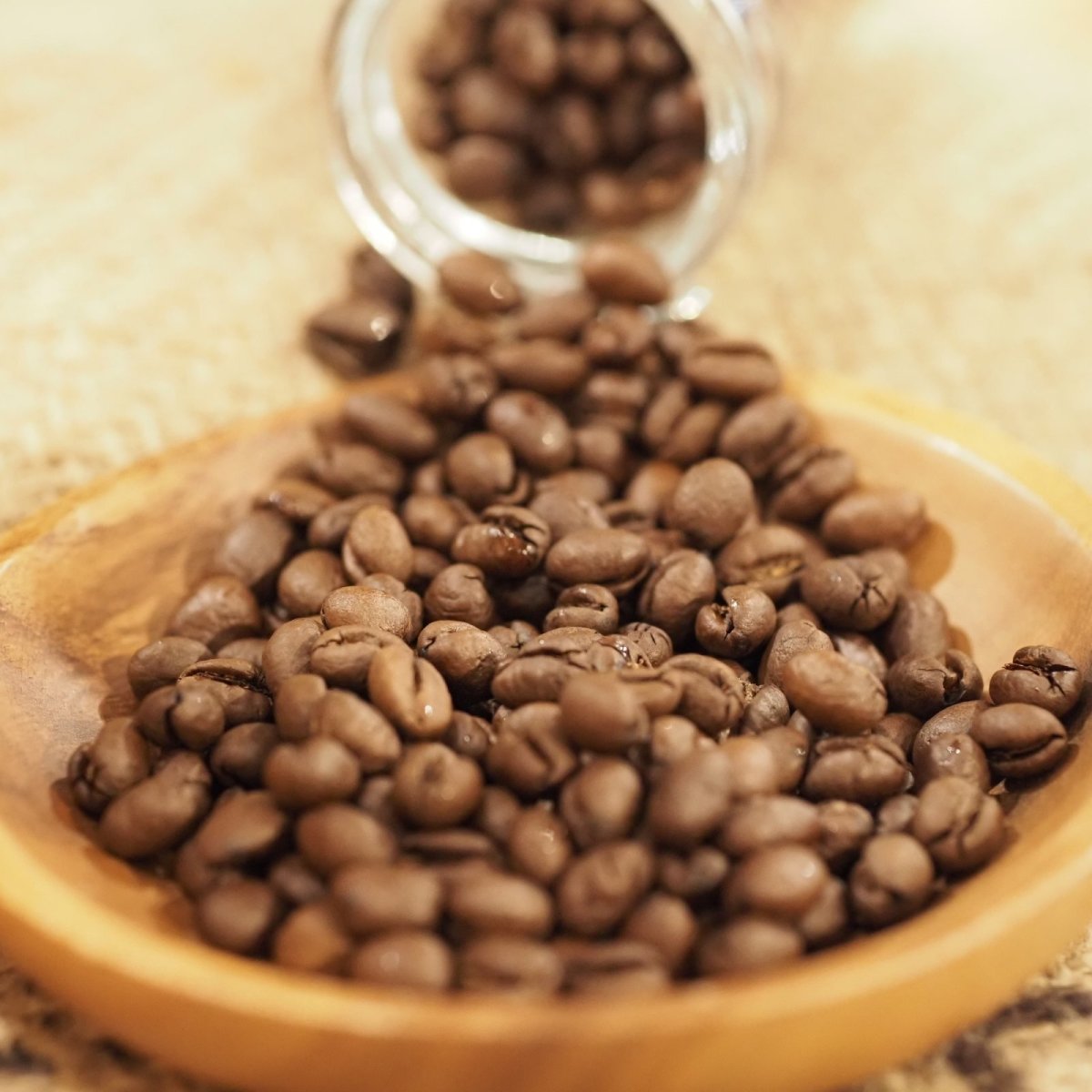 画像2: ブラジル　ショコラピーベリー (2)