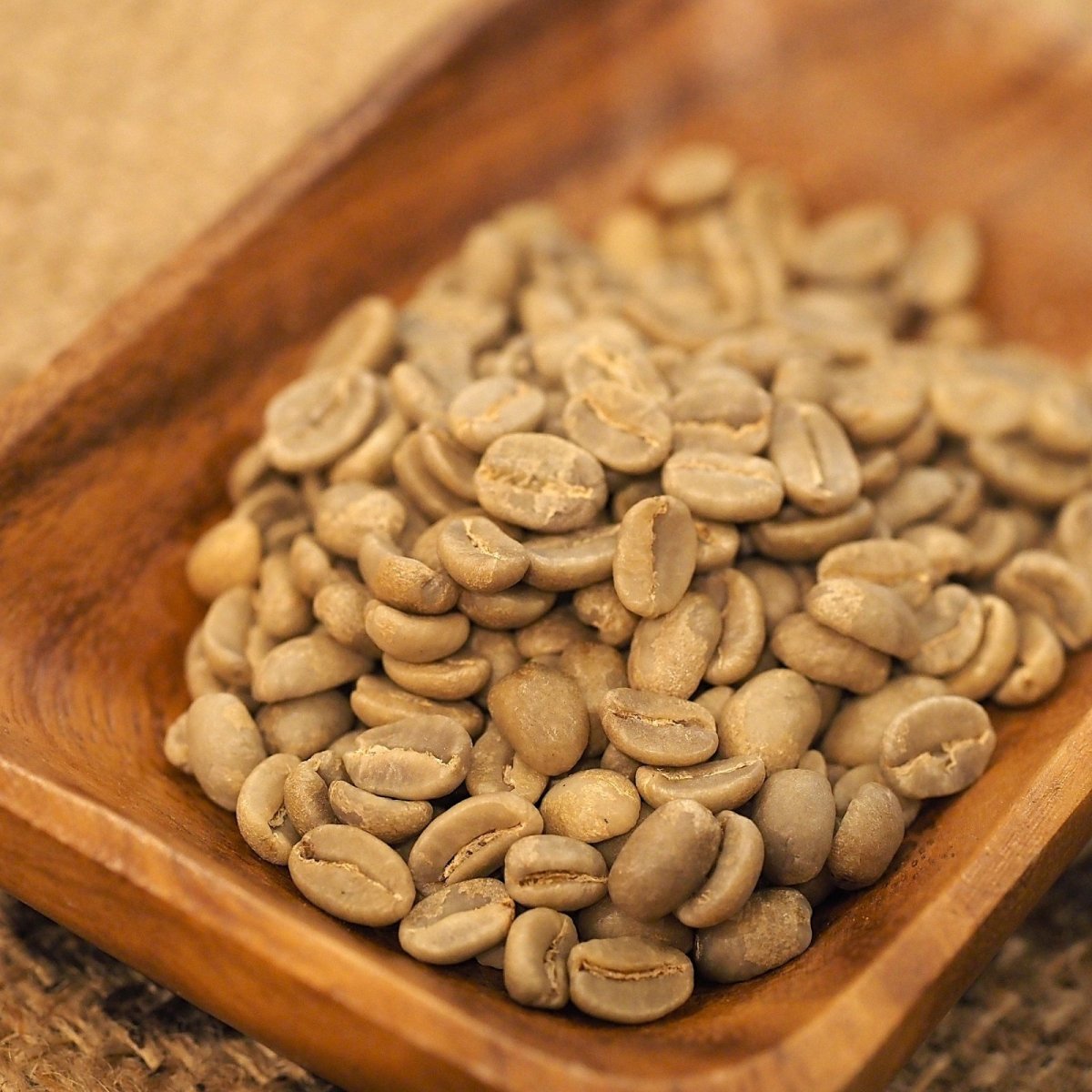 画像3: パプアニューギニア　ハイランドスウィート (3)