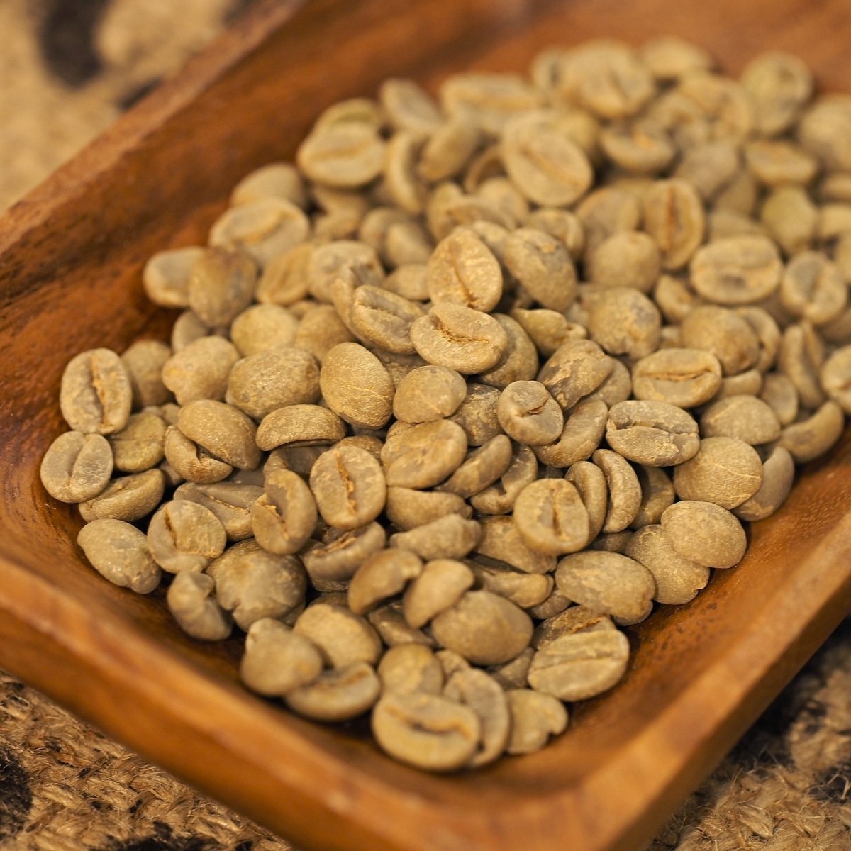 画像3: ブラジル　ジアマンチーナ　ヨシマツ (3)