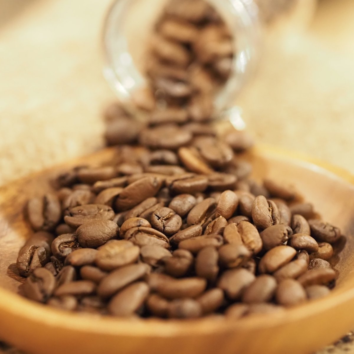 画像2: イエメン　モカ　マタリ　  (2)