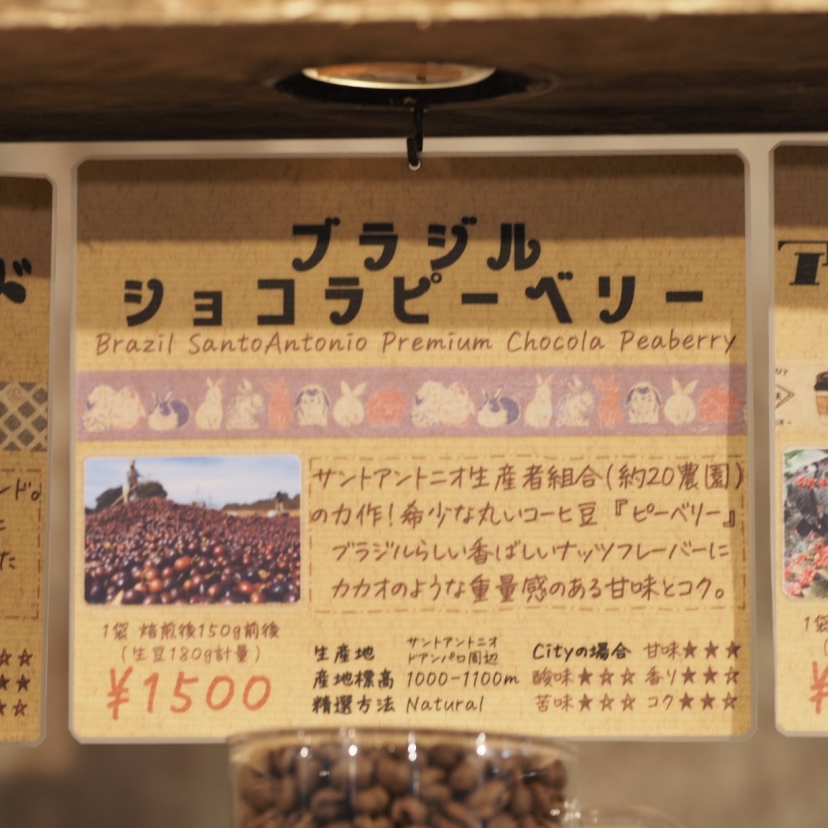 画像4: ブラジル　ショコラピーベリー (4)