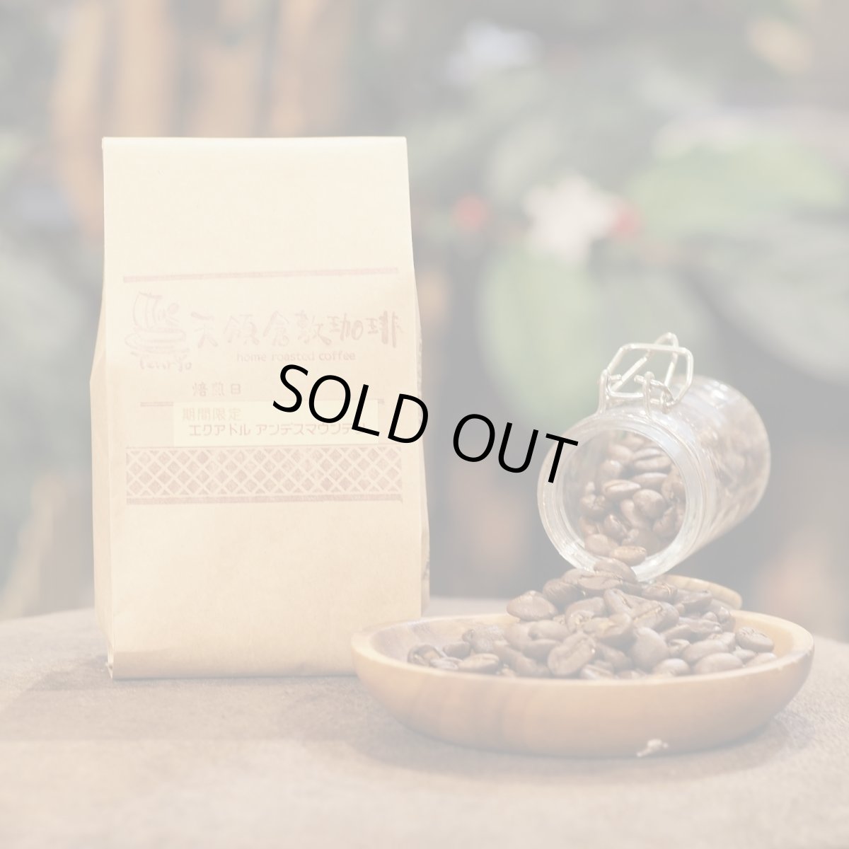 画像1: 【期間限定】エクアドル　アンデスマウンテン (1)