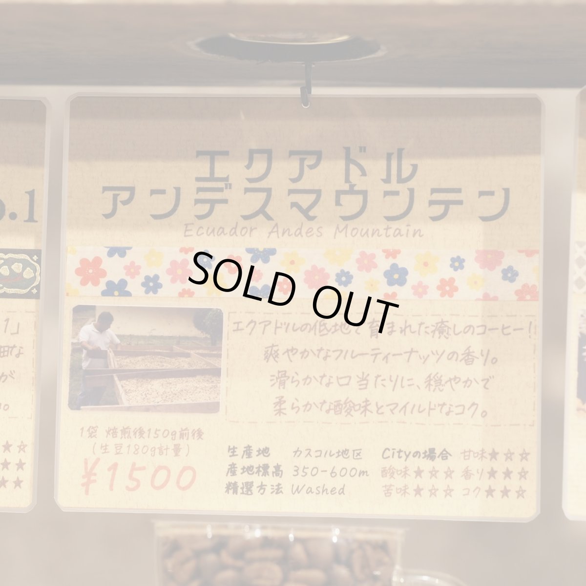 画像4: 【期間限定】エクアドル　アンデスマウンテン (4)